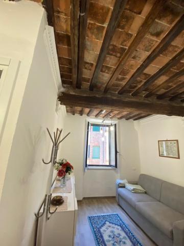 Apartament Apt Bruco Siena Zewnętrze zdjęcie